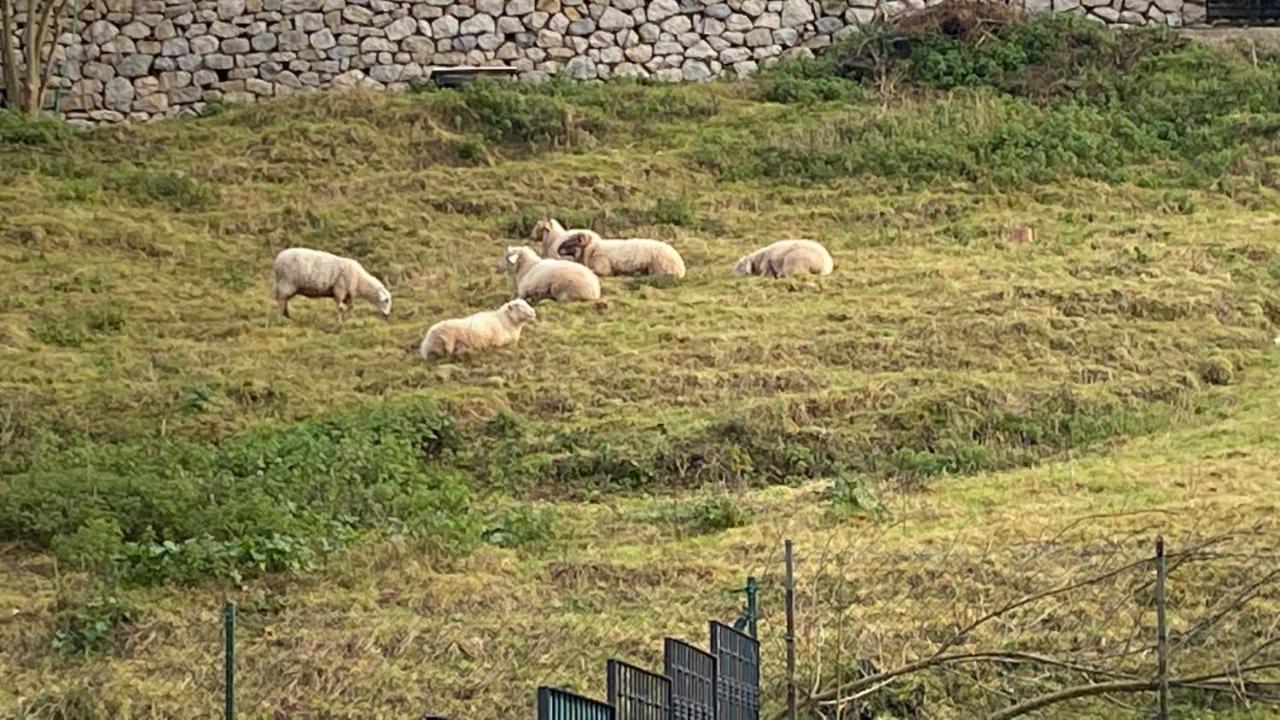 La Casa De Fito Cerca Del Centro De Comillas Exteriör bild